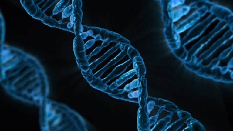 Genetics and hair loss may be influenced by environmental factors to a greater extent than previously thought as suggested by studies on identical twins and hair loss. Genetics and hair loss may be influenced by environmental factors to a greater extent than previously thought as suggested by studies on identical twins and hair loss.